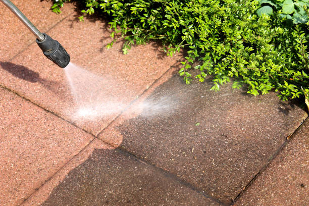 Best Deck Cleaning Services  in La Selva Beach, CA